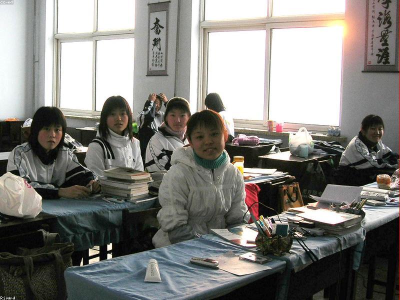 Daily Mandarin System for Full-Time Workers in Chengdu