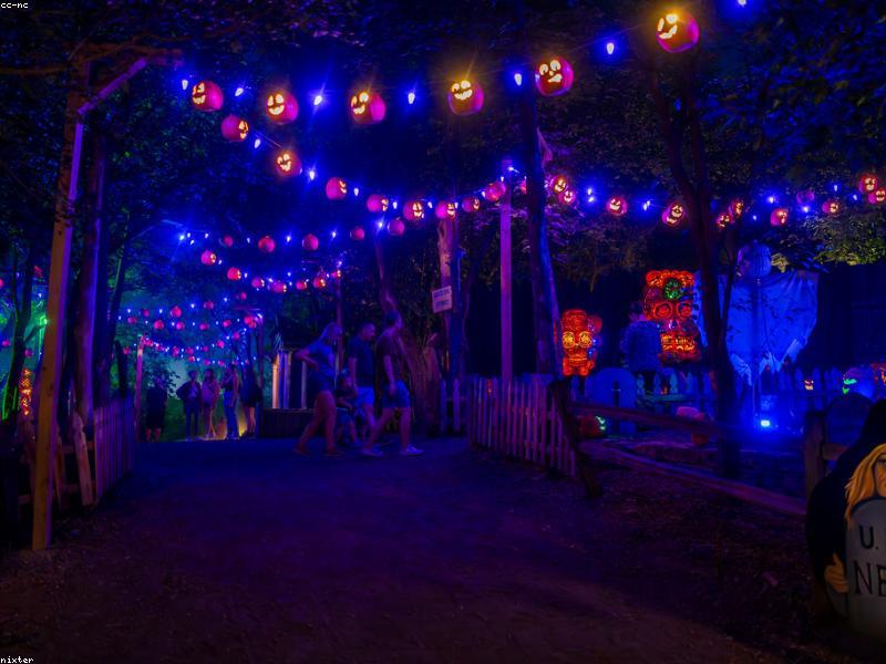 Seasonal Fairs: Go Once, Then Protect Your Weekends