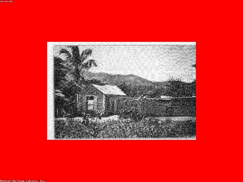 Laminate a Permit Copy; Keep the Original Home