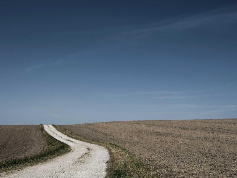 Give Feedback the Same Week, Not at Review Season