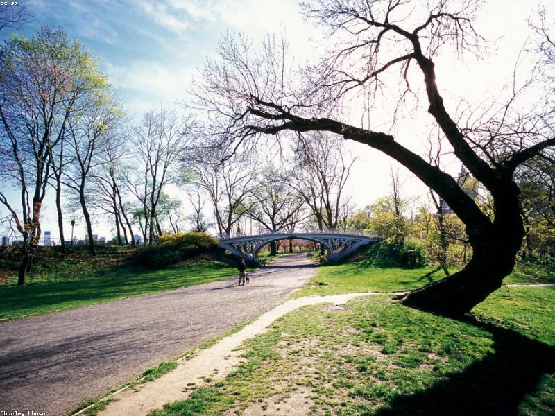 Scan Receipts Same Day — Thermal Ink Fades in Days — Sep 06