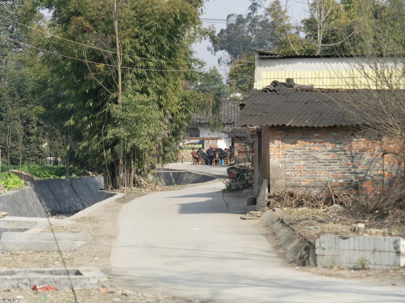 Entertainment Guide for Chengdu Settlers: Badminton Habit