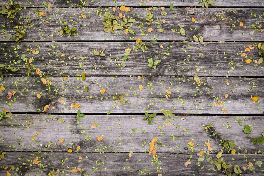 Link International Card to Alipay Before Bank Holiday