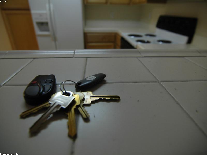 Budget-Friendly Renting Choices for Roommate Fit