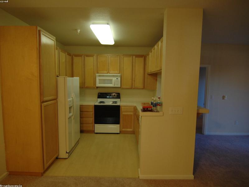 Renting Here: Night Visit, Photos, Lease Name