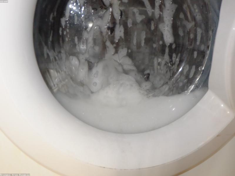 Sunday Fridge Wipe Stops Mystery Shelf Science