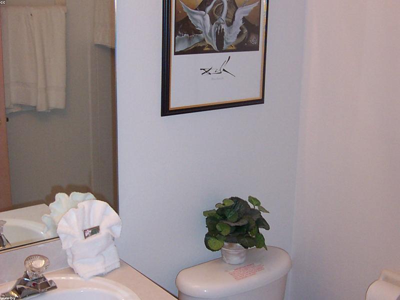 Run Bathroom Exhaust Ten Minutes After Shower — Mirror Fog Lie
