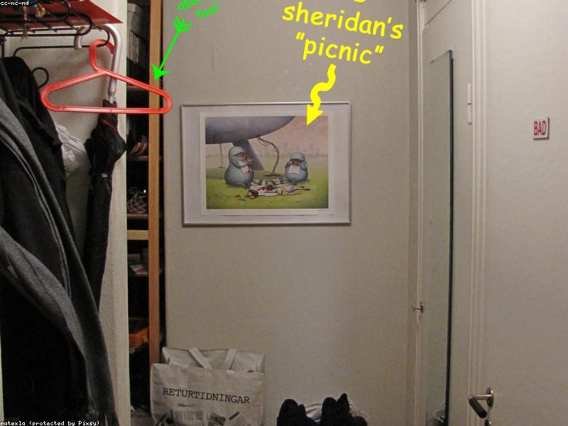Oil Bed Frame Squeak Once — Neighbors Thank Silently