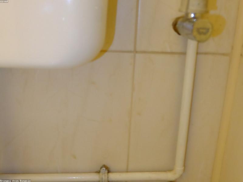 Mold & Humidity Toolkit for Chengdu Apartments