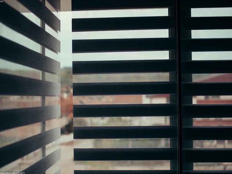 Renovation Season: Earplugs, Notes, and Boundaries