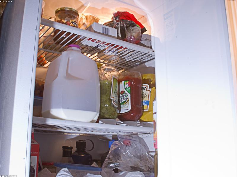 Fridge Label Day Stops Mystery Container Wars