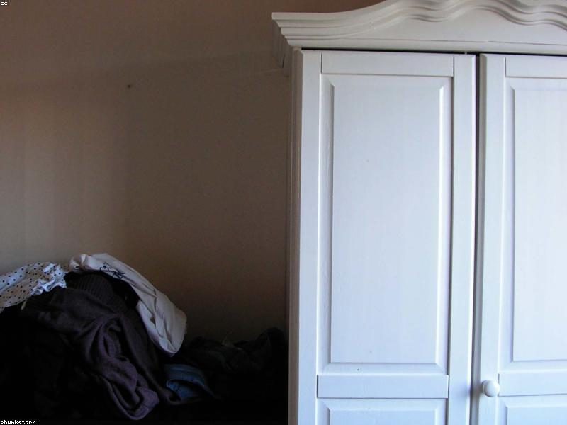 Closet Moisture Packs Before Clothes Smell Like Basement