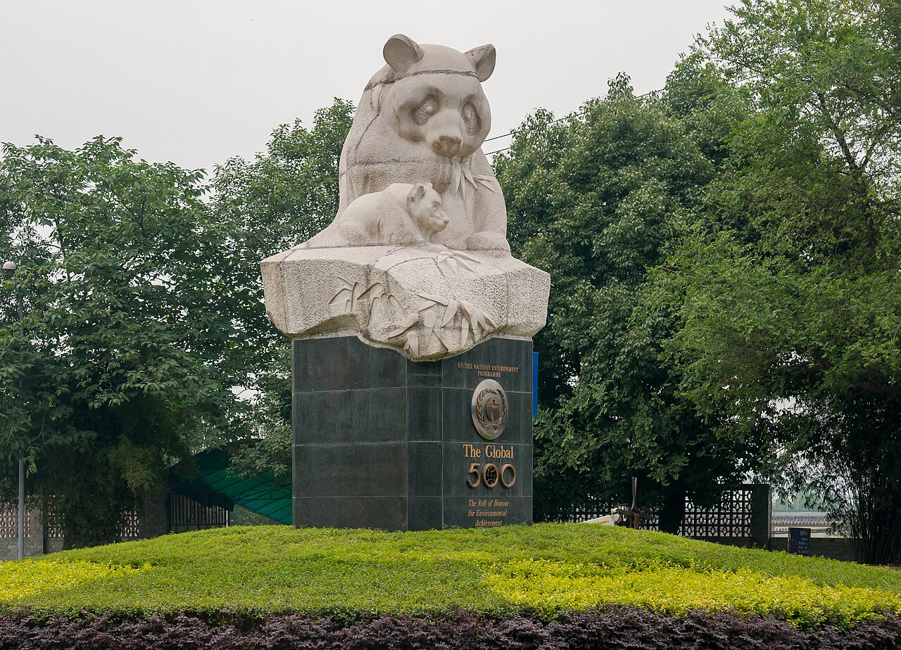 Panda visit (Claiming a Park Bench Like a Local Ritual)