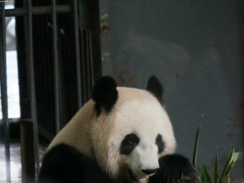 Leisure Guide for Chengdu Settlers: Bookstore Cafes