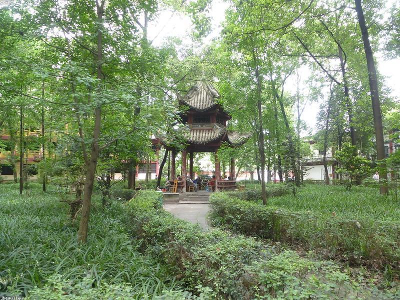 Wenshu Side Gate Entry — Main Gate Tour Bus Wave