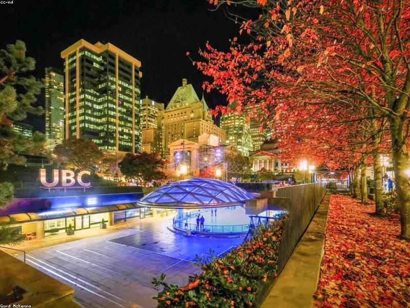 IFS Ice Rink Weekday Slot — Weekend Sessions Book Out