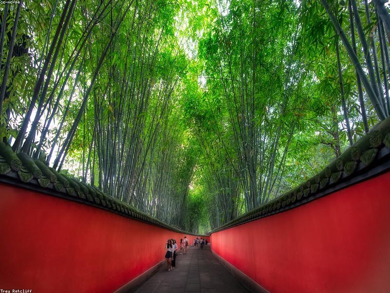 Free Museum Days: Arrive Early or Don't Bother