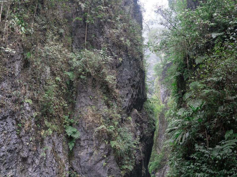 Zip Bag Tight on Emei — Monkeys Have MBA in Theft