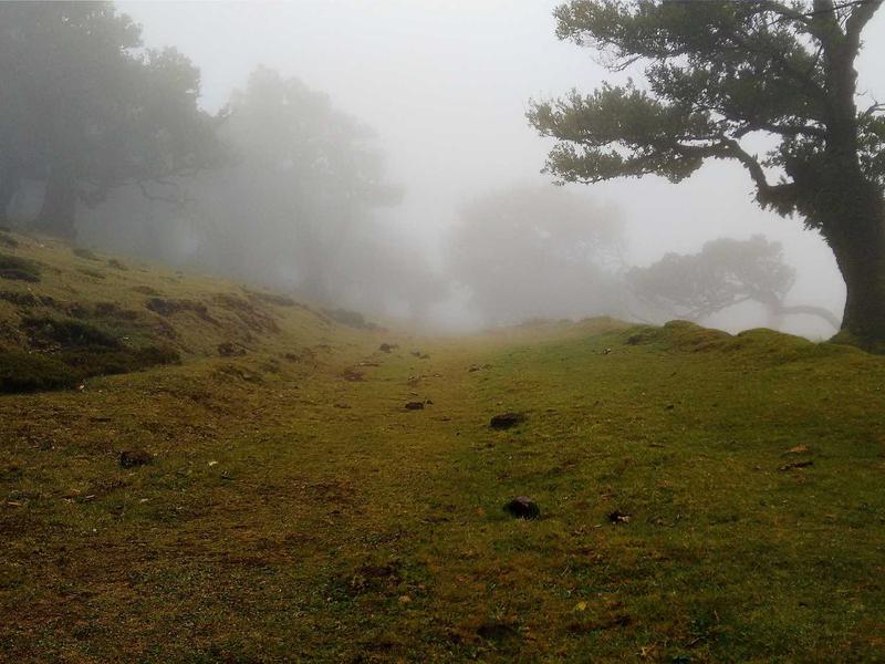 Slow First Day at Siguniang — Altitude Humblebrag Is Real