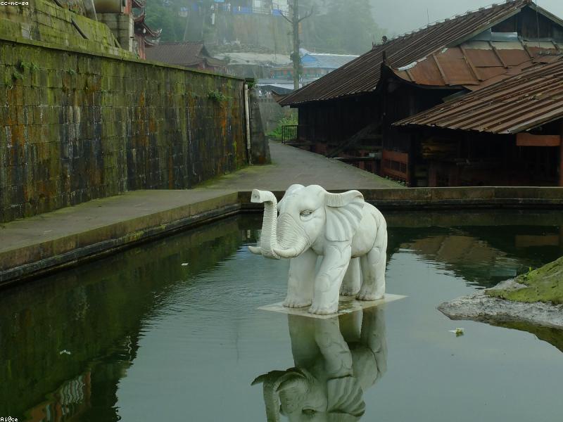 Travel Guide for Chengdu Settlers: Jetlag Guest Care