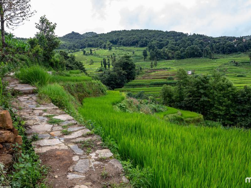 Building a Travel Support Network for Chongqing Weekends