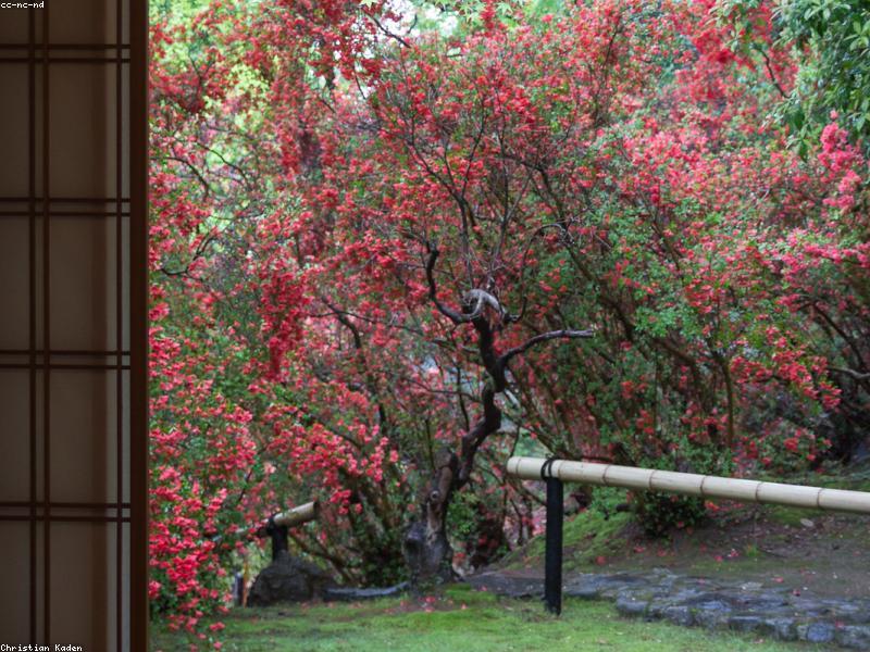Visit Dujiangyan Museum Before Weir — Context Makes Water Sense