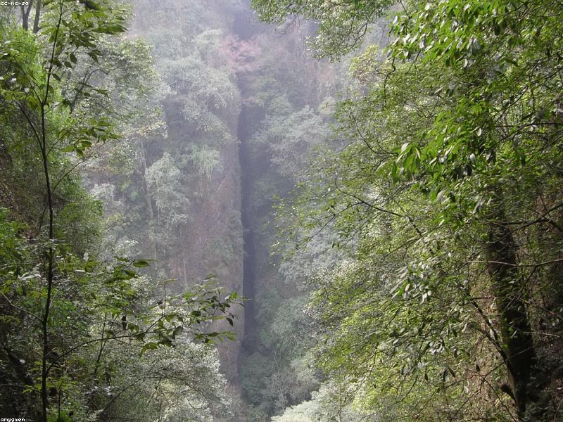 Qingcheng Front Mountain First Visit — Back Needs Longer Legs
