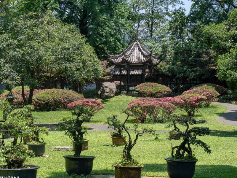 Dujiangyan Museum Before Weir — Context Makes Water Sense