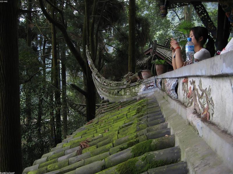 Nature Buffer Weekends to Balance City Density
