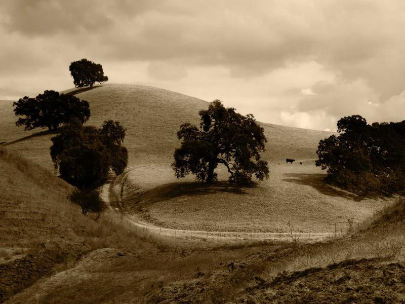 Solo Day Trips: Pace for Your Own Conversation