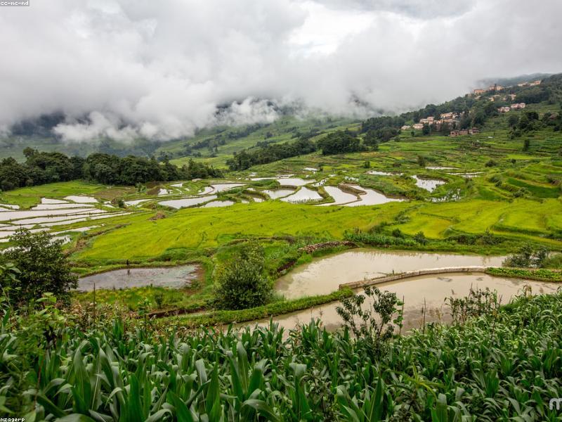 Book the Return Train Before the Cute Homestay