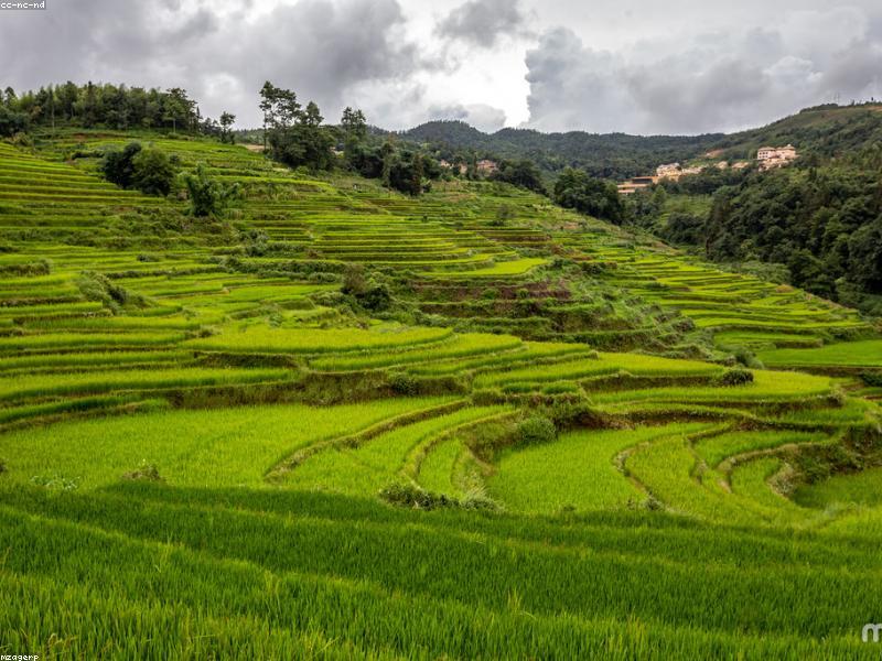 Homestays: Ask Hot Water Hours Before You Book Romance
